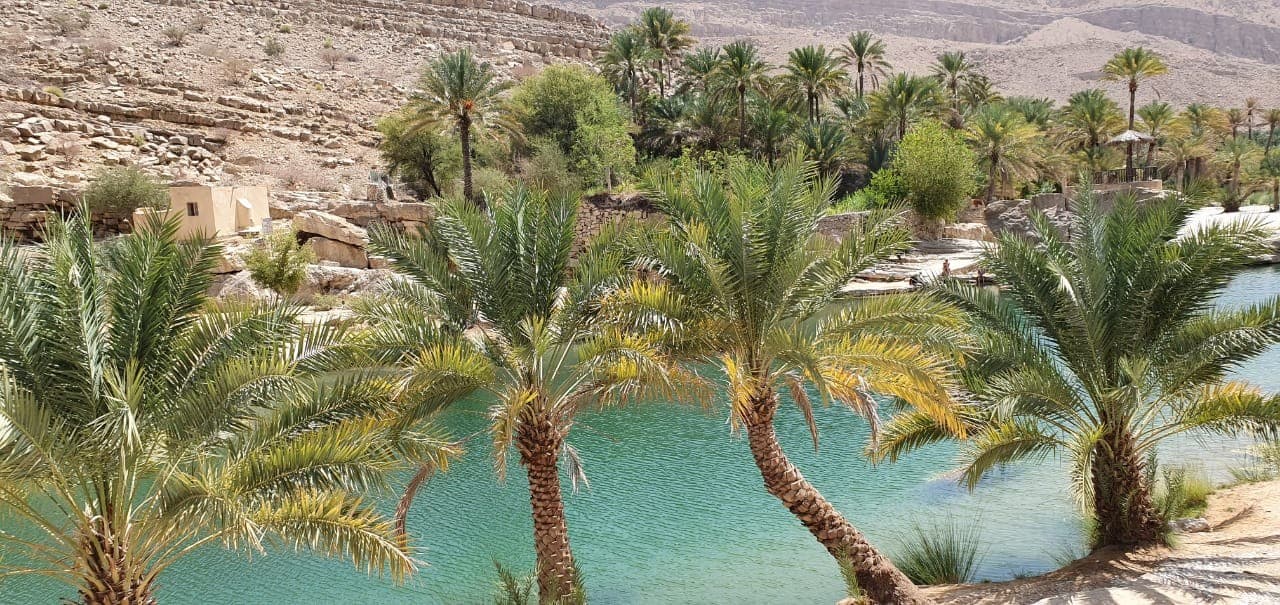 Wadi Alarabieen Day tour