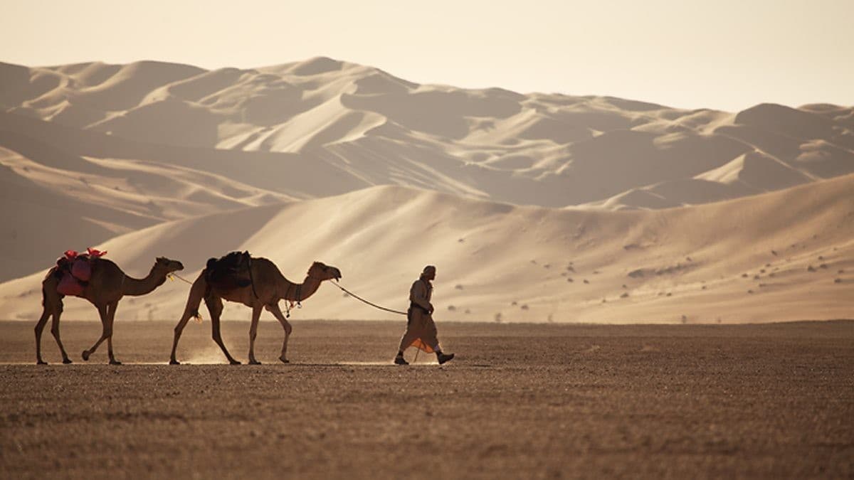 Empty Quarter and a Lost city Overnight Camping