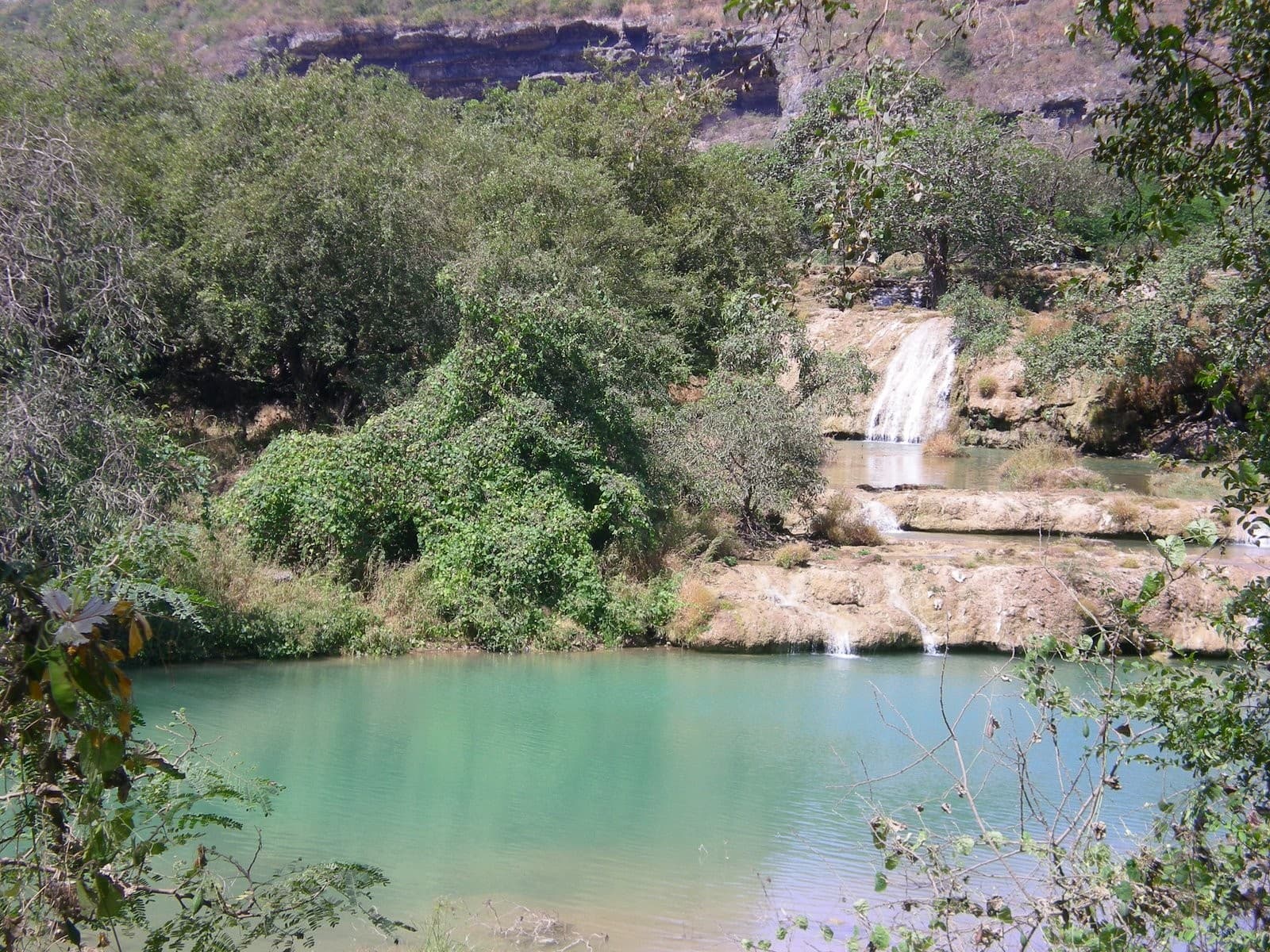 6 Days Long Salalah trips Tour Package
