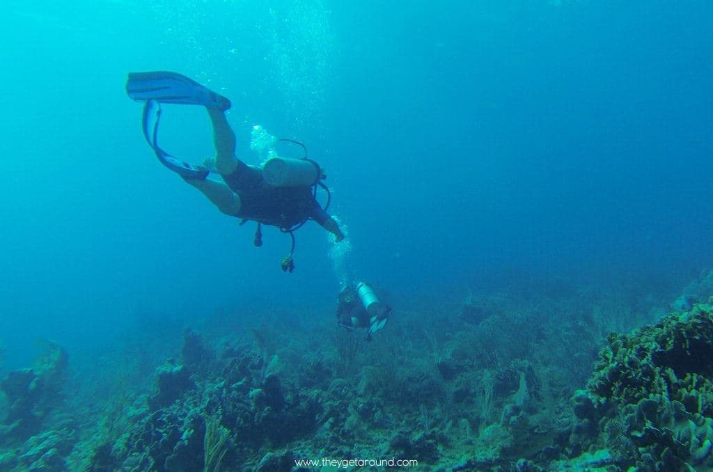 Diving In Khasab Sea Safari