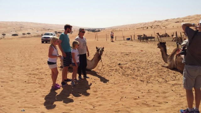 2 camels in Wahiba sands, getting ready for a camel ride