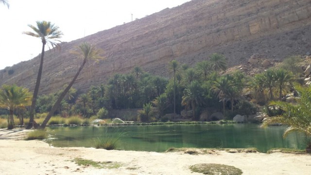 The amazing nature of Wadi Bani Khaled and the palm trees surrounding the water