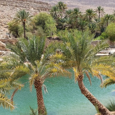 Wadi Alarabieen Day tour